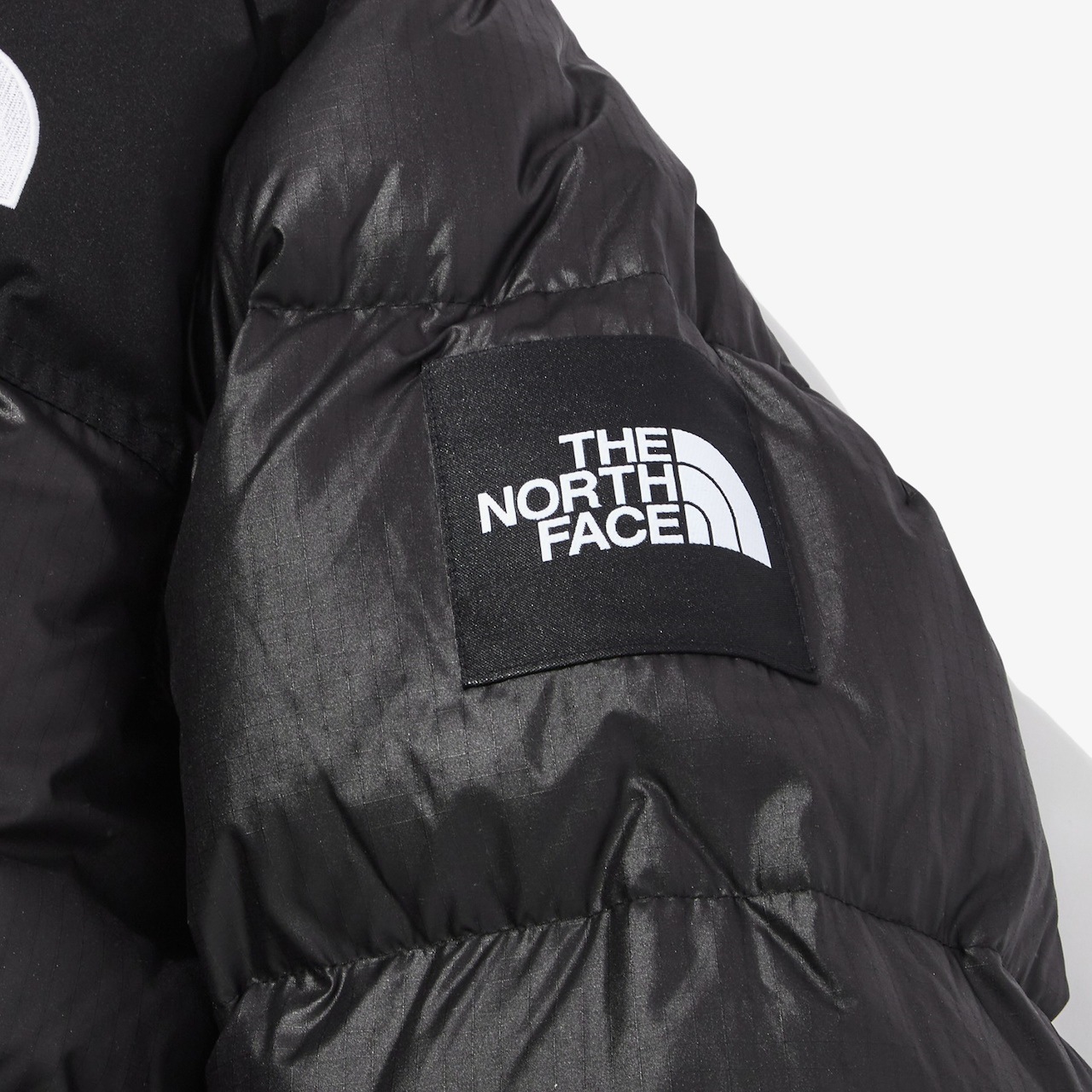 THE NORTH FACE] NOVELTY NUPTSE DOWN JACKET (NJ1DN50) - www.vepafarm.it