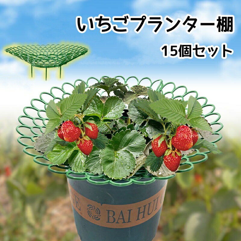 Qoo10] イチゴ棚 いちごプランター棚 15個セッ