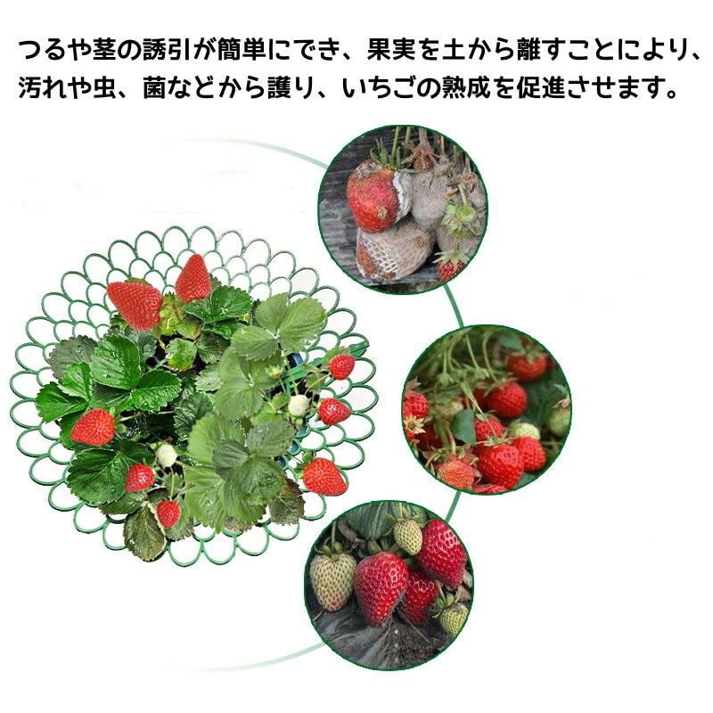 イチゴ15 Qoo10] イチゴ棚 いちごプランター棚 15個セッ