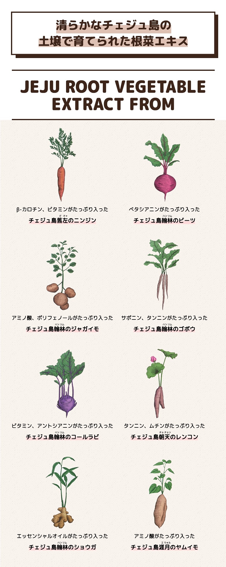 ー品販売 Innisfreeパック4枚セット チェジュルート エナジーマスク systemk.sakura.ne.jp