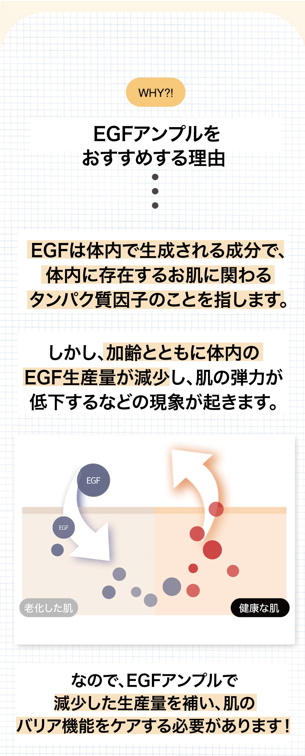 EGFアンプル55ml（EGF+FGF+IGF配合） - Demaf