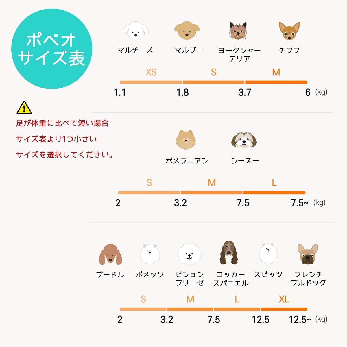 Qoo10] ポベオ膝蓋骨サポーター レベル2 XS/