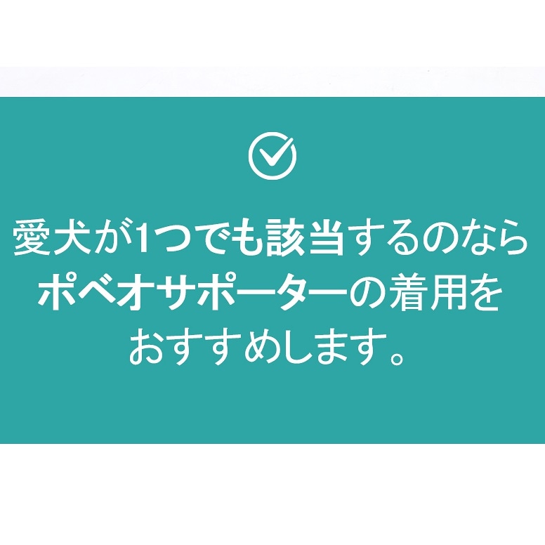 史上一番安い 青箱 800cc 赤 ｱｽｶ版画ｲﾝｷ 中性 アート・美術品・