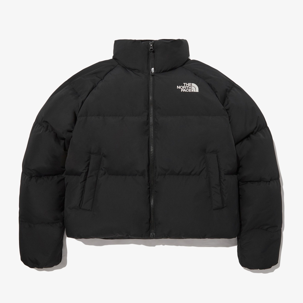 Qoo10] ザノースフェイス WS LOFTY DOWN JACKET