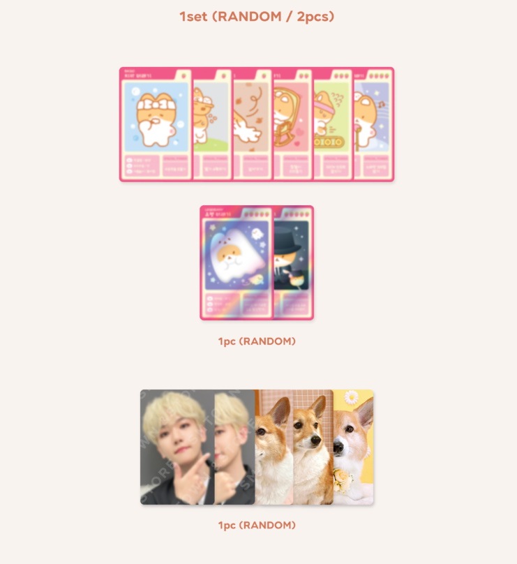 Qoo10] SMエンターテインメント exo ベッキョン トレギ 公式グッズ