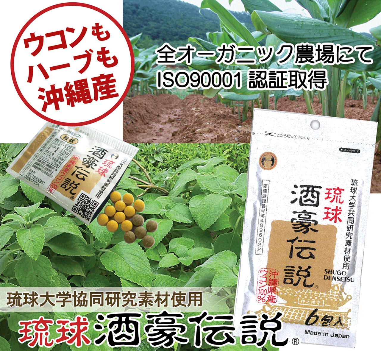 純正大特価 琉球酒豪伝説6包入り20袋セット 発売18年の実績 沖縄ウコン 二日酔い防止 オーガニック 飲み会  ショッピング格安-ssl.daikyogo.or.jp