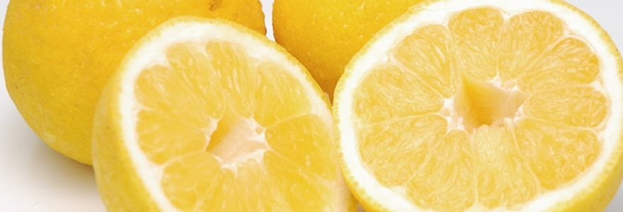 Qoo10 愛媛県産 河内晩柑10kg 送料無料