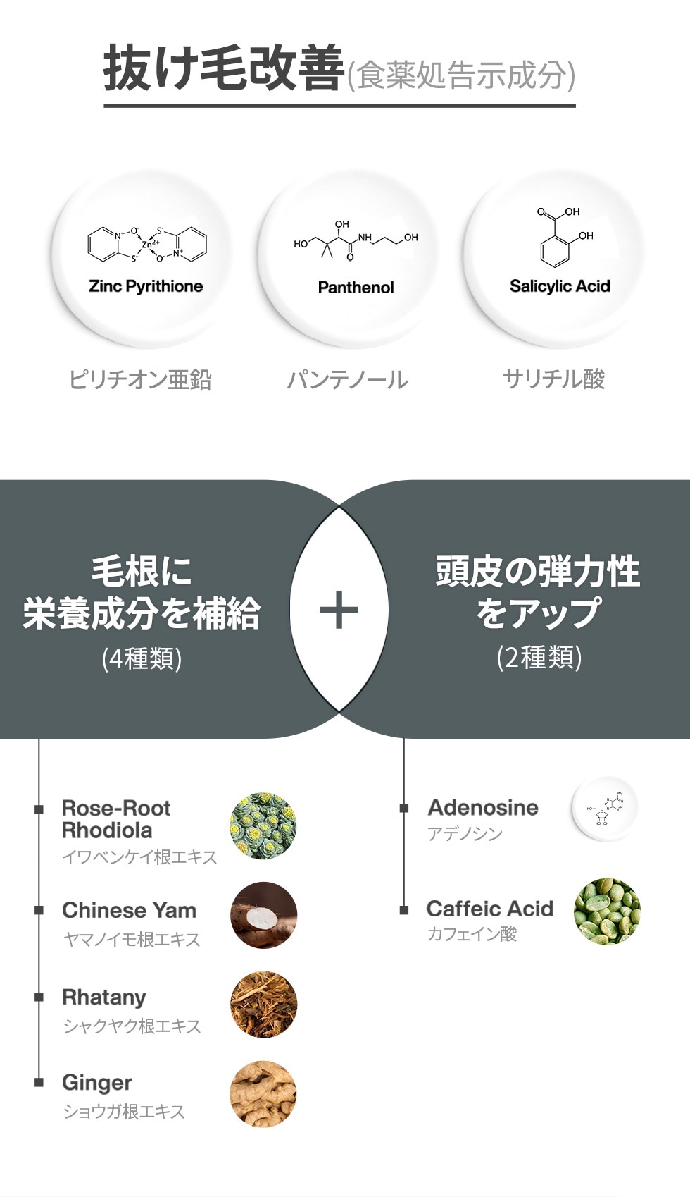 ドクターフォーヘア]*脱毛緩和・頭皮ケア* フォリゲンシャンプー
