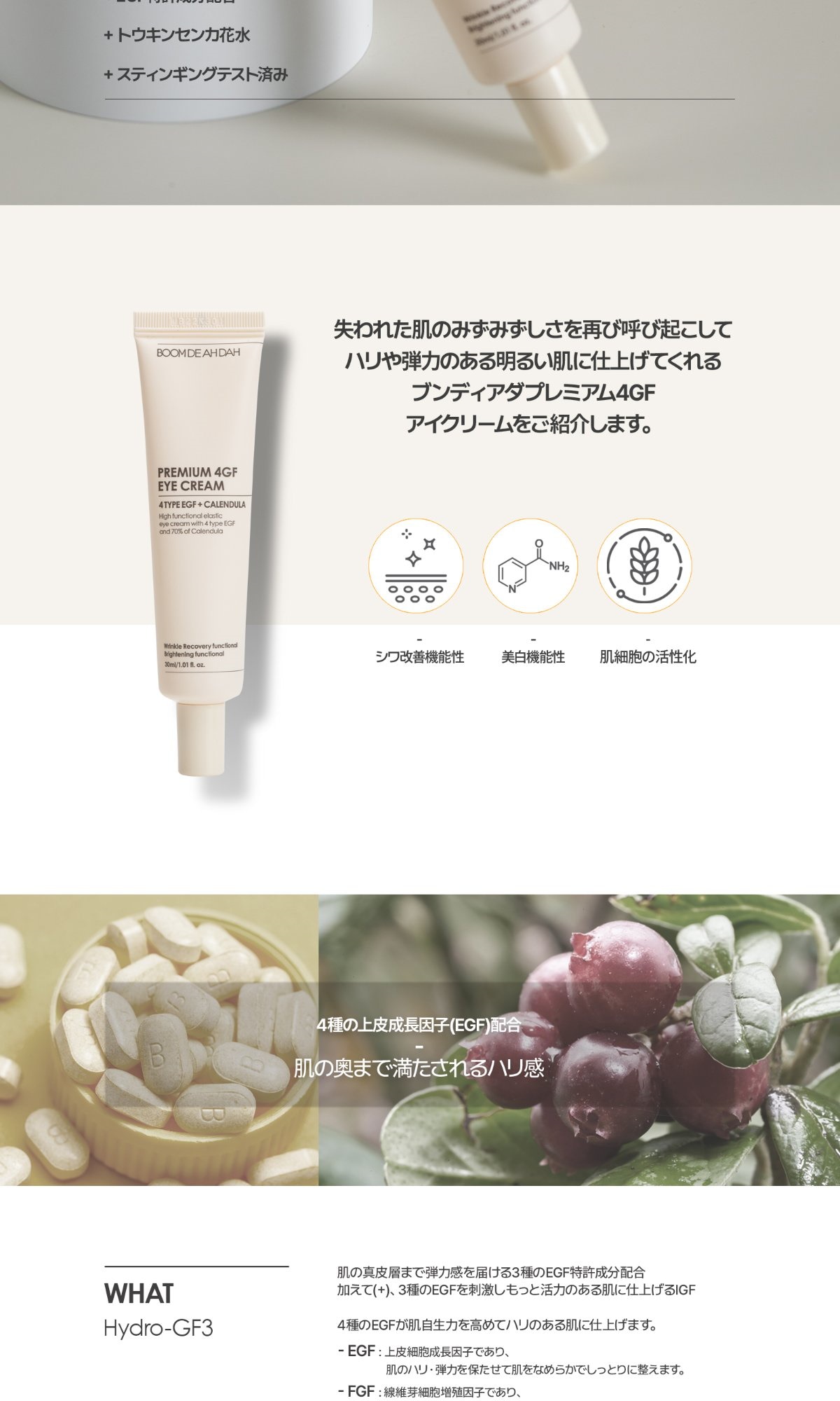 Qoo10] BOOM DE AH DAH プレミアム 4gf アイクリーム 30m