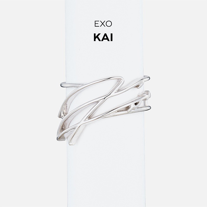 EXO ベッキョン Artist Signature Ring サインリング | reelemin242.com