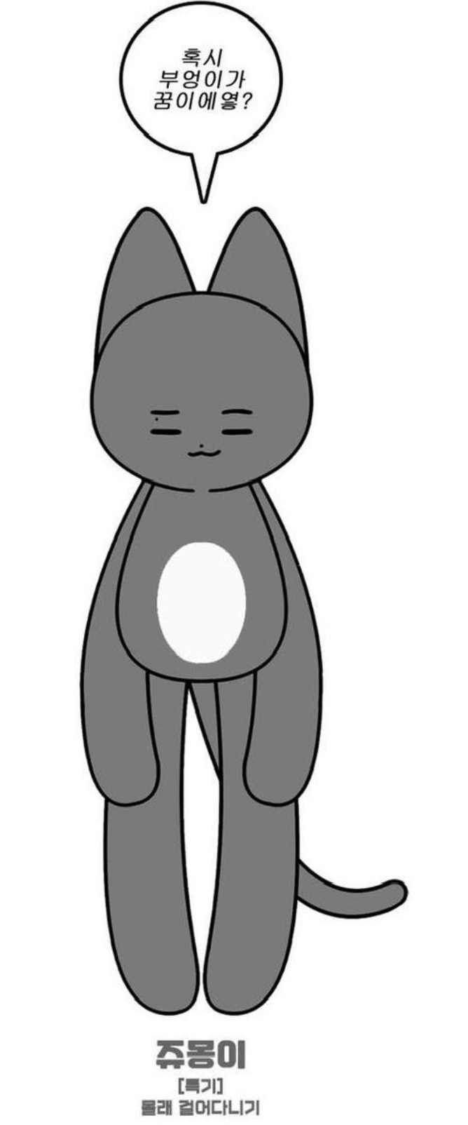 The boyz ジュヨン マスタニム ぬいぐるみ 60cm ジュモンイ The boyz ジュヨン ココボーイズ 60CM ぬいぐるみ ジュモンイ