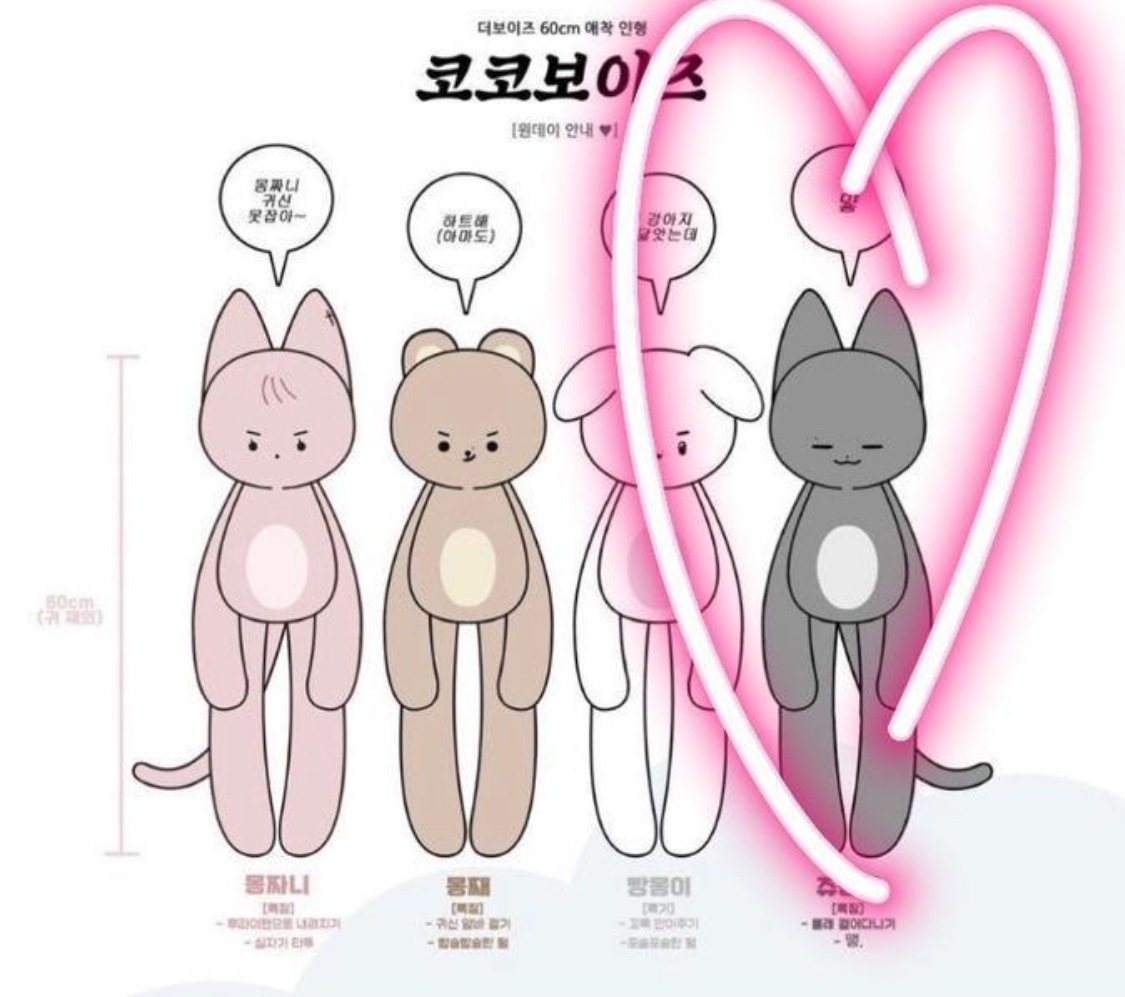 The boyz ジュヨン ココボーイズ 60CM ぬいぐるみ ジュモンイ