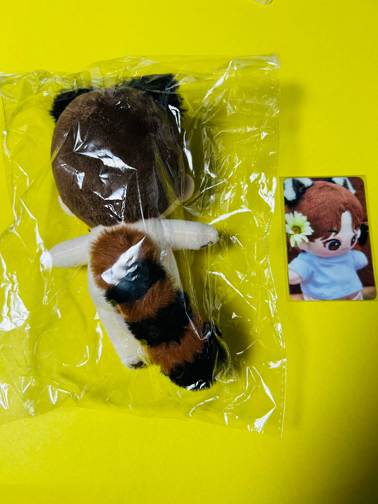 Qoo10] SEVENTEEN スングァン ぬいぐる