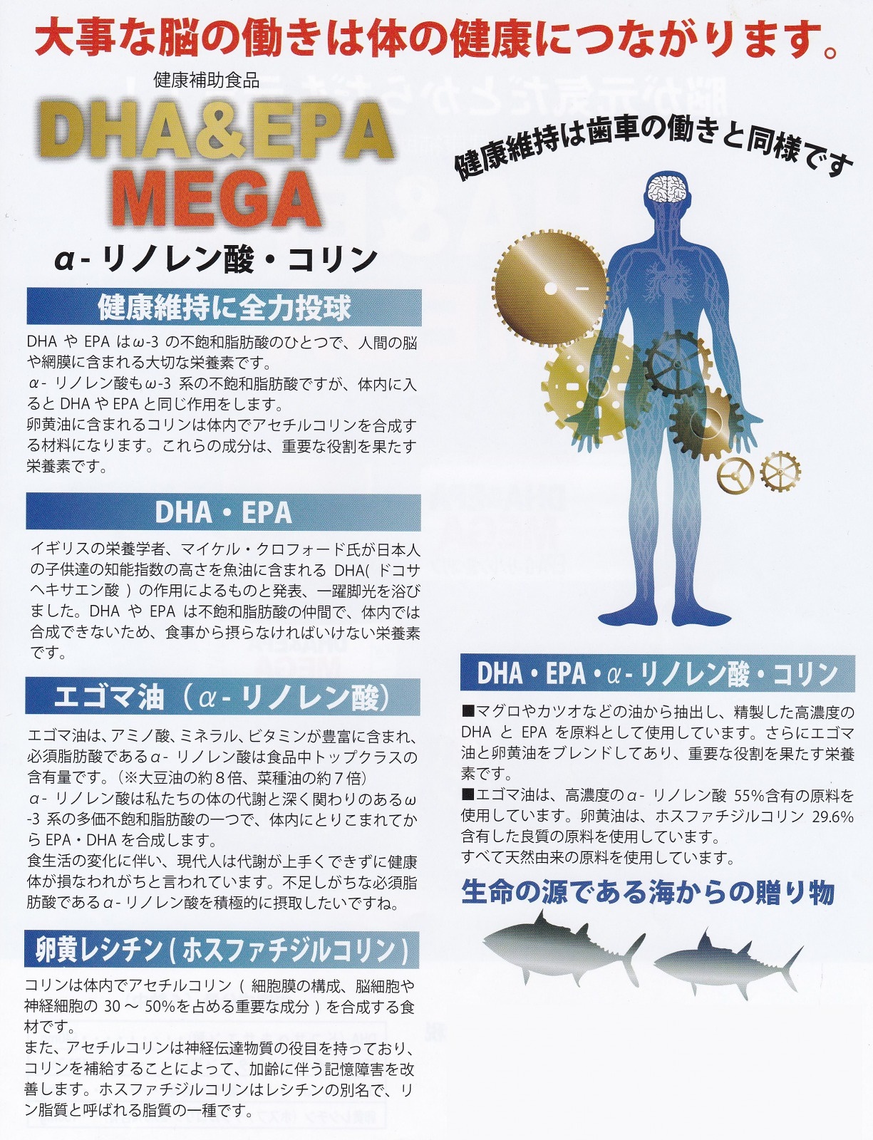 高濃度DHA ＆ EPA をぎゅっと凝縮 DHA＆EPA MEGA 500粒 脳の働き