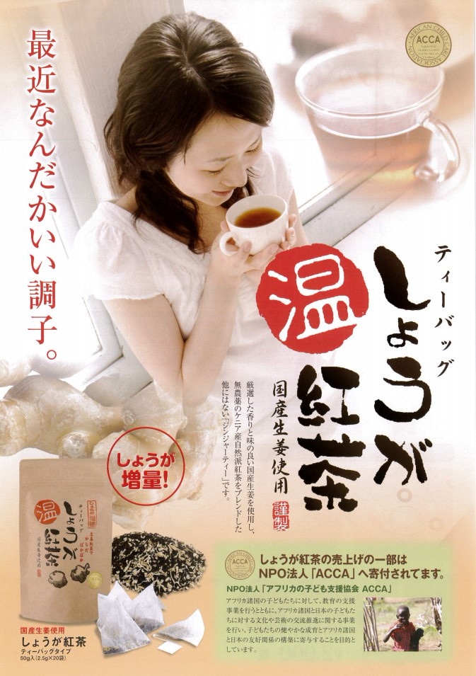 国産生姜使用 しょうが紅茶 20包3袋セット 商品詳細│有限会社
