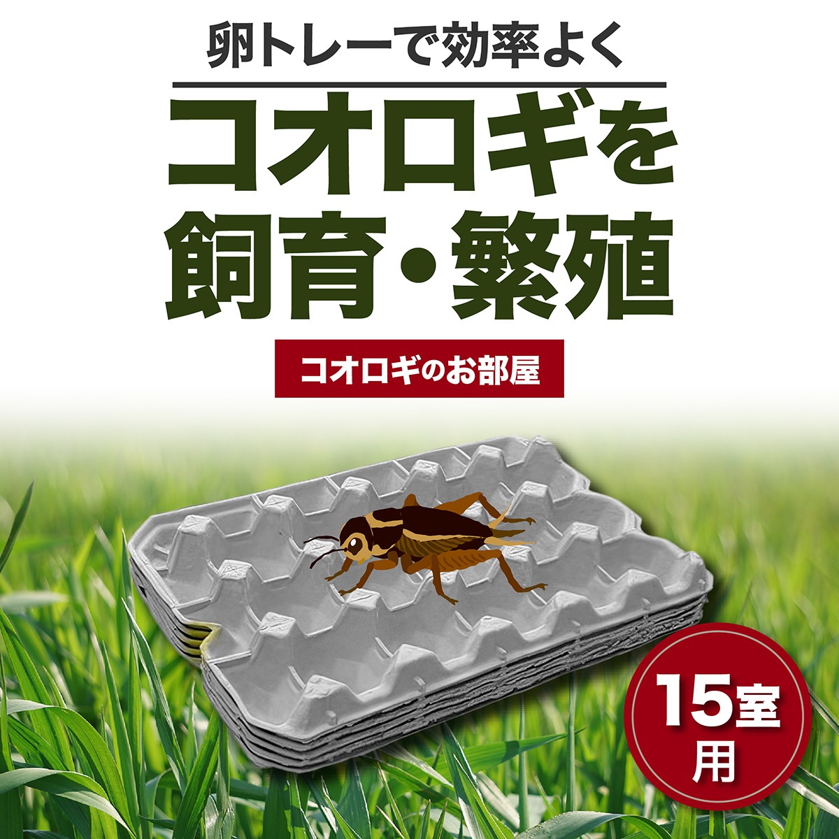 ステンレス金網使用 デュビア コオロギ レッドローチ めんどくさけれ 飼育ケース 飼育ケージ 小