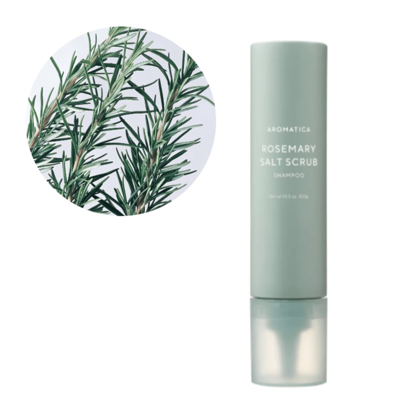 シャンプー A ローズマリーソルトスクラブシャンプー 300ml*7個 【公式通販】