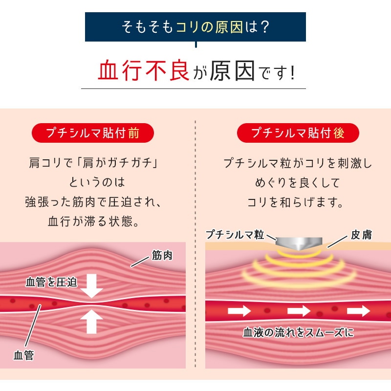 Qoo10] レダ Dr.レダシルマ チタンシリーズ（3サイ