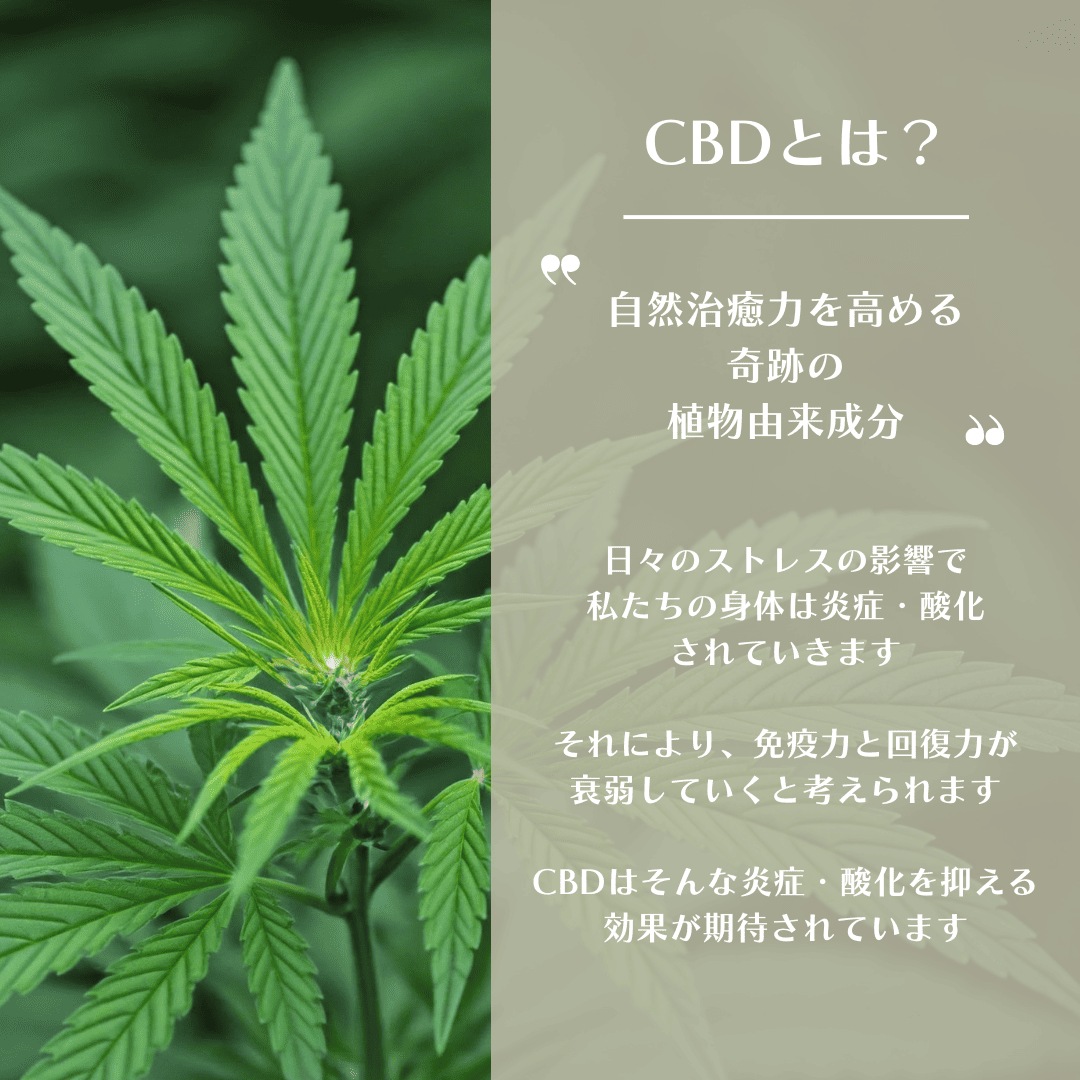 PREMIUM CBDオイル/ 30ml (CBD 1,350mg) 完全無添加 / 完全THCフリー