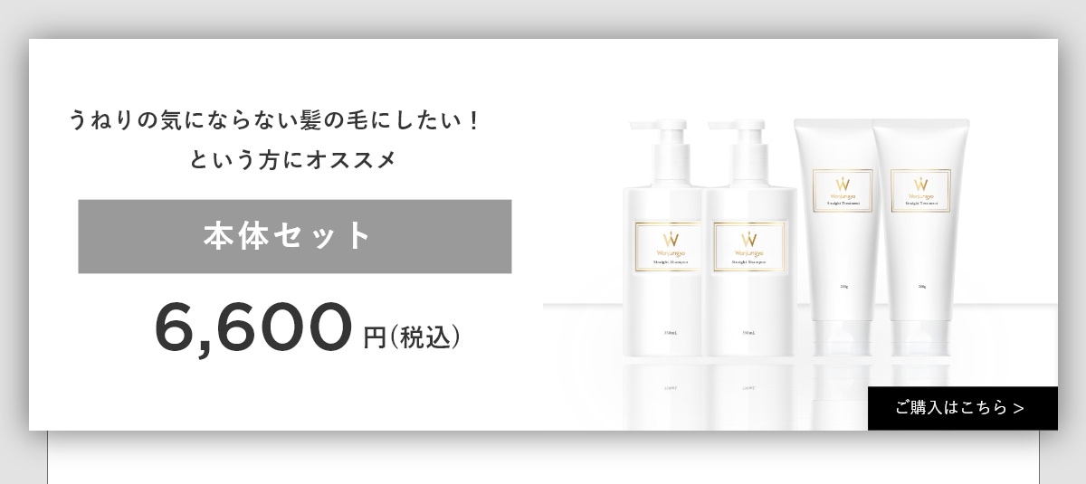 Wonjungyo ウォンジョンヨ ノベルティセット ウォンジョンヨヘアキャンペーン
