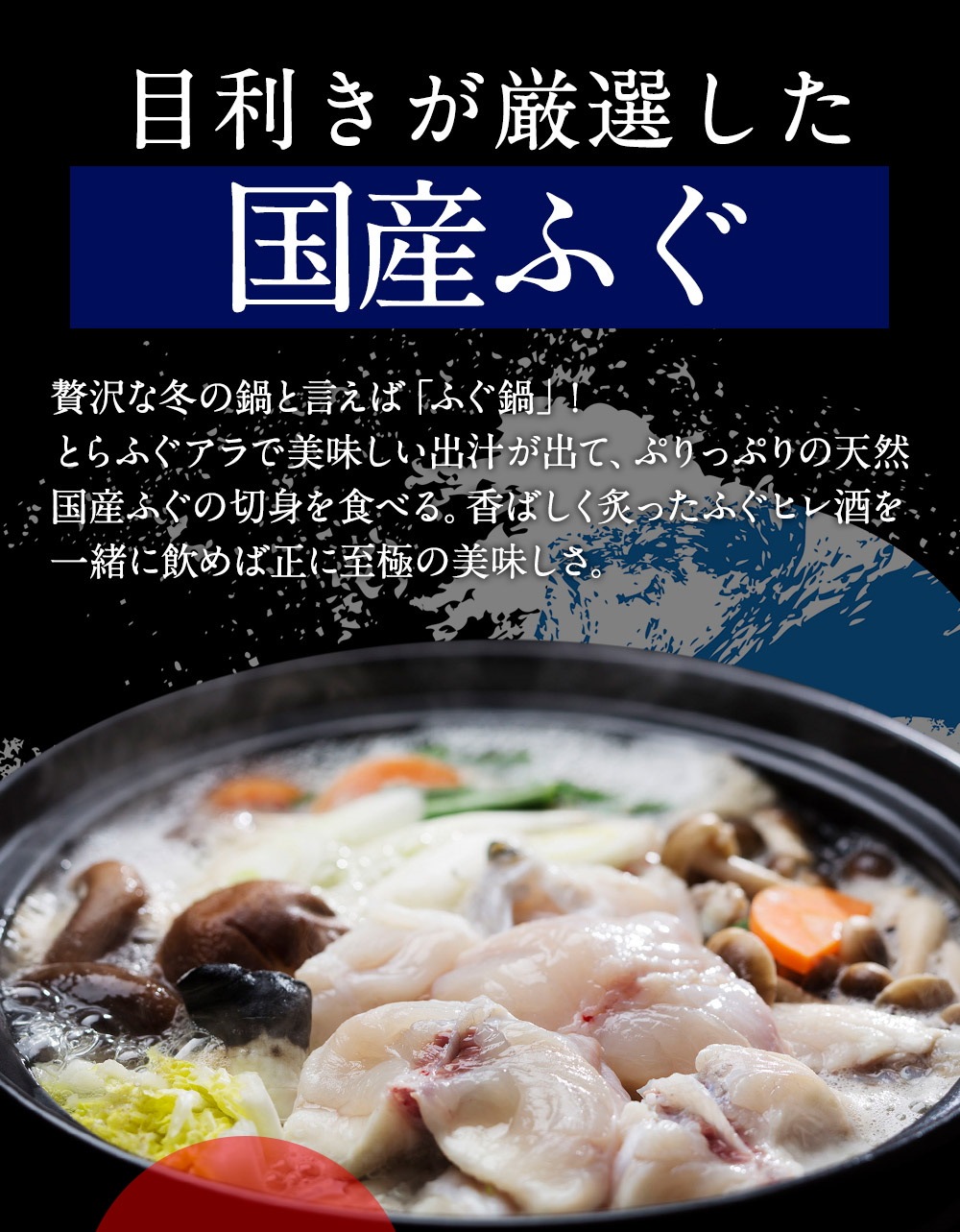 最新売れ筋 国産ふぐ ふぐ鍋 ふぐ刺し 白子 セット 5-6人前 てっちり てっさ 河豚 フグ 天然 取り寄せ  売上超特価-ssl.daikyogo.or.jp