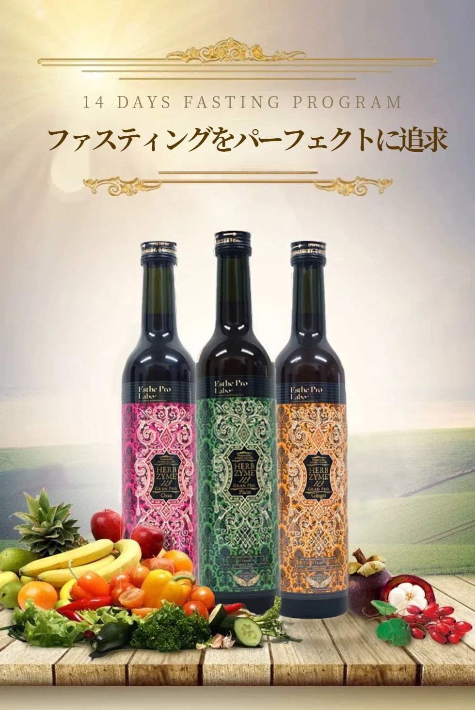 ハーブザイム113 グランプロ プレーン500ml 6本セットです。 ハーブザイム113 グランプロ プレーン500ml 6本セットです。 SALE