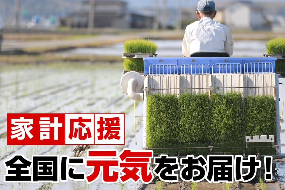 Qoo10] 令和6年産新米入り 30kg(10kgx